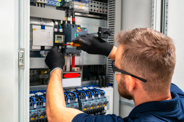 Best Electric Panel Repair  in Morton, IL