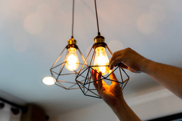 Best Electric Panel Repair  in Morton, IL